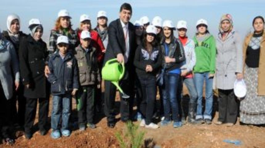 Şehitkamil Belediyesi, Binlerce Fidanı Toprakla Buluşturacak