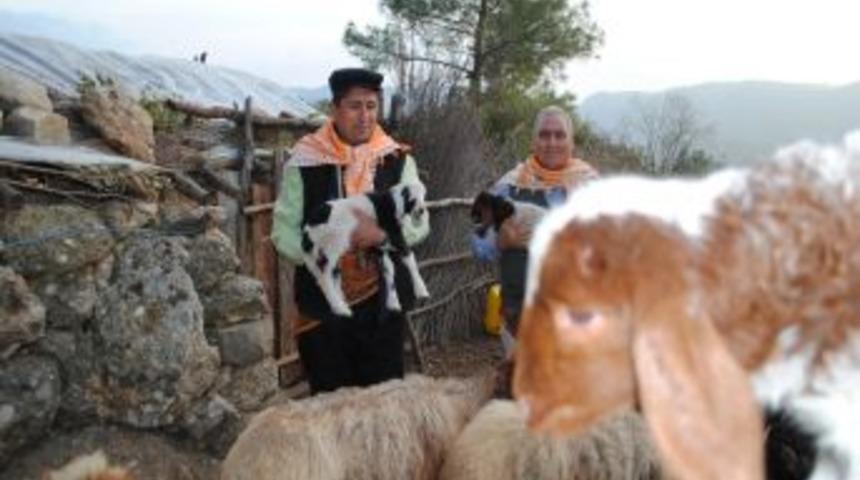 Toros Y&ouml;r&uuml;kleri G&ouml;&ccedil;ten Yana Dertli