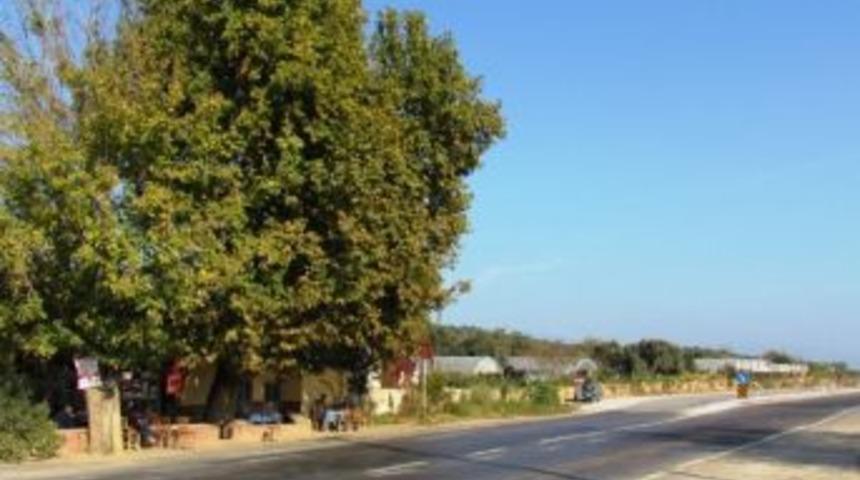 Elifli K&ouml;yl&uuml;leri, Tarihi &Ccedil;eşme Ve &Ccedil;ınarın Duble Yoldan Korunmasını İstedi