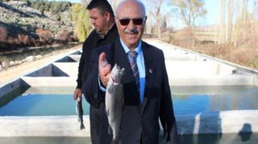 Belediye Balık&ccedil;ılığa Başladı