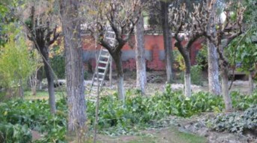 Soma Belediyesi, Koru Park'ı Sil Baştan Yeniliyor