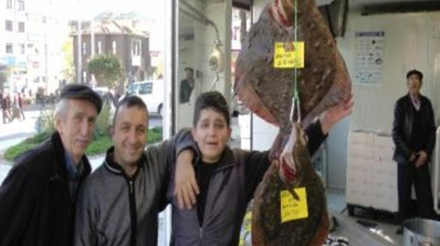 Akçakoca'da Kalkan Balığı El Yakıyor, Ama Yok Satıyor
