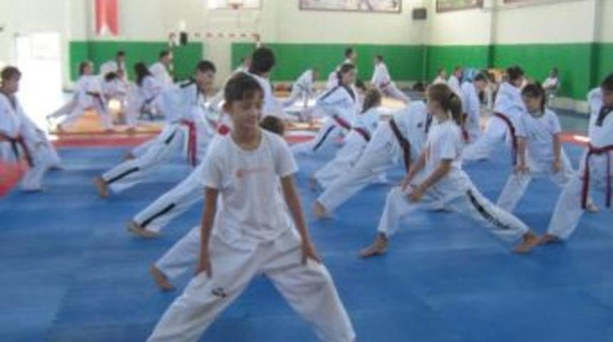 T&uuml;rkiye Taekwondo Şampiyonası