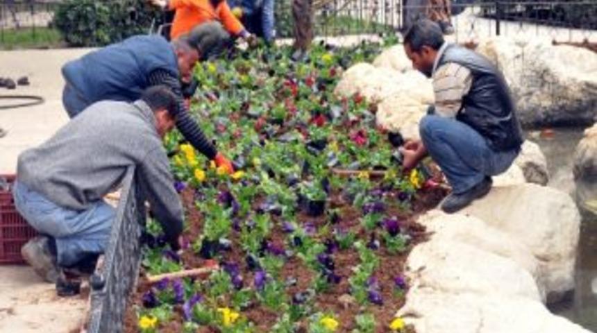 Akdeniz &Ccedil;i&ccedil;eklerle Donatılıyor