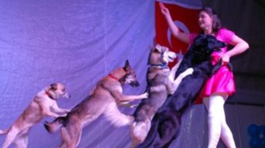 Tokat&rsquo;ta Sirk Heyecanı