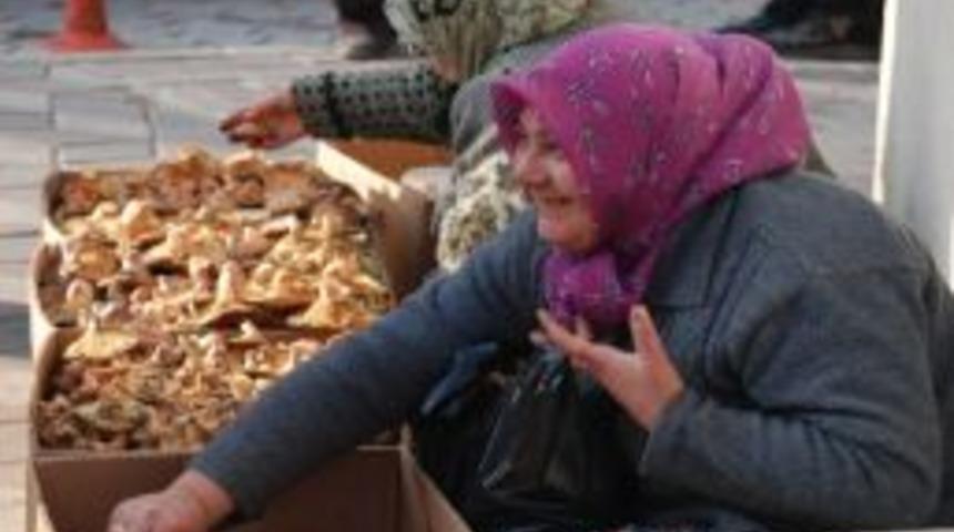 Soma'da Mantarlar Tezgahlarda Yerini Aldı