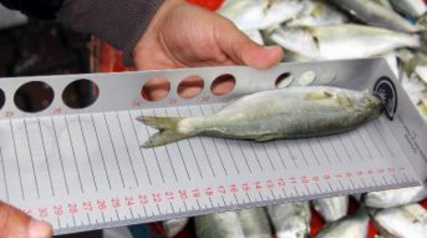 Su &Uuml;r&uuml;nlerinden &Ccedil;inekop Denetimi