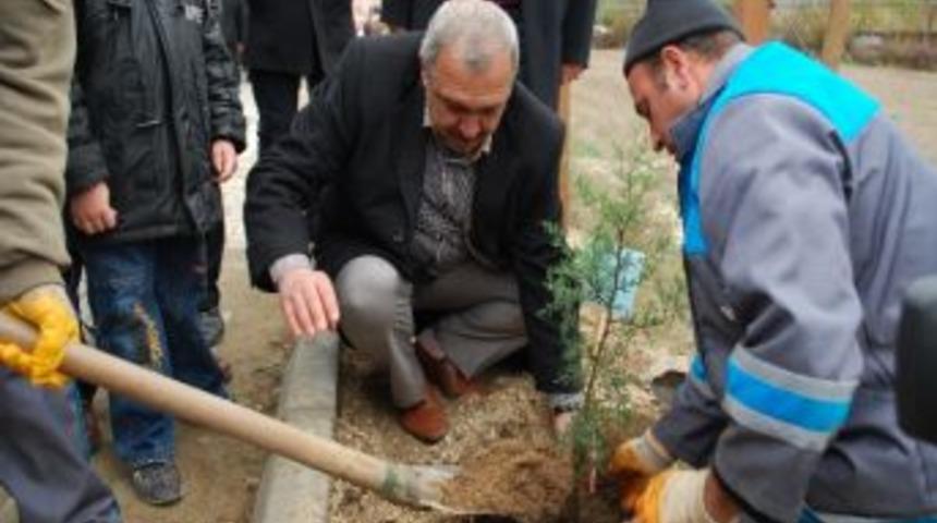 Turhal’da Ağaç Dikme Kampanyası