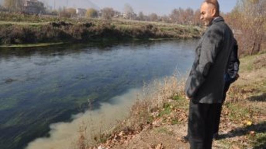 Havuzlardaki Balık &Ouml;l&uuml;mleri Araştırılıyor