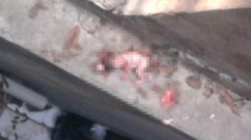 Yeni Doğan Bebeğini Pencereden Attı