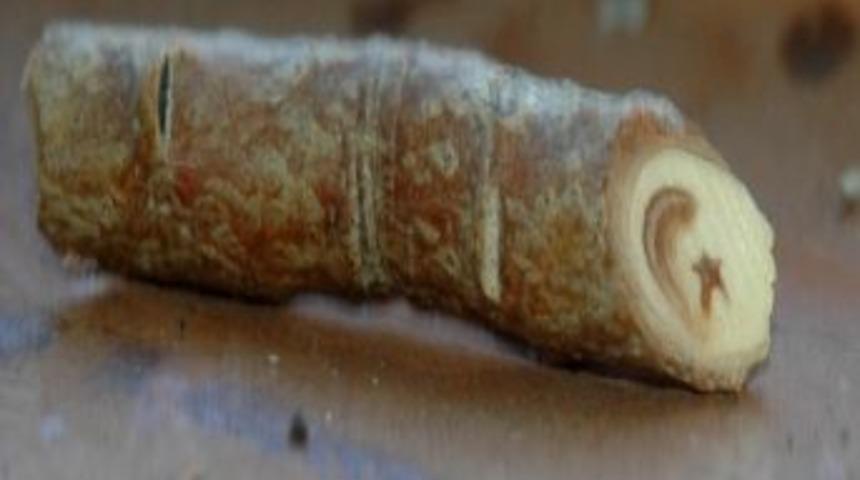 Ay Yıldızlı Ağa&ccedil; Dalı G&ouml;renler Şaşırıyor