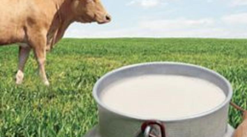 Hınıs&rsquo;ta S&uuml;t Toplama, Soğutma Ve Pazarlama Projesi...