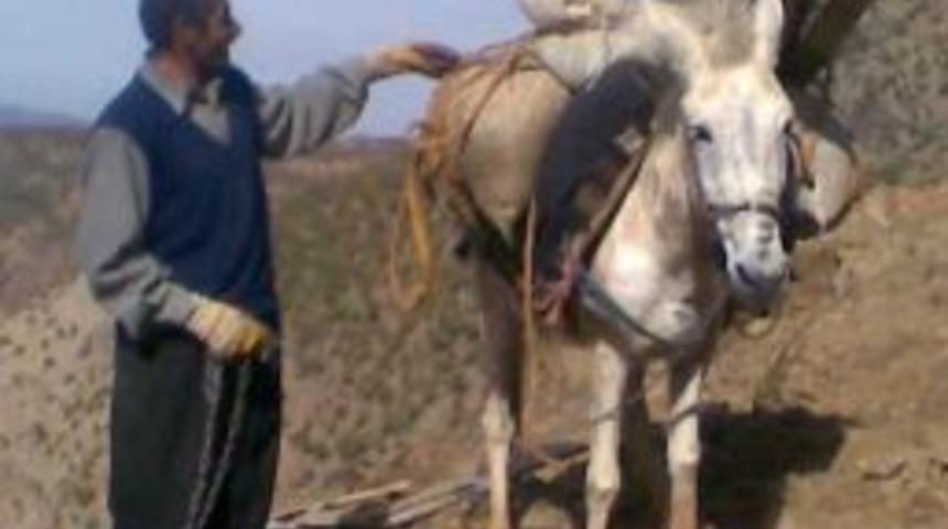 Hizmet Engel Tanımıyor