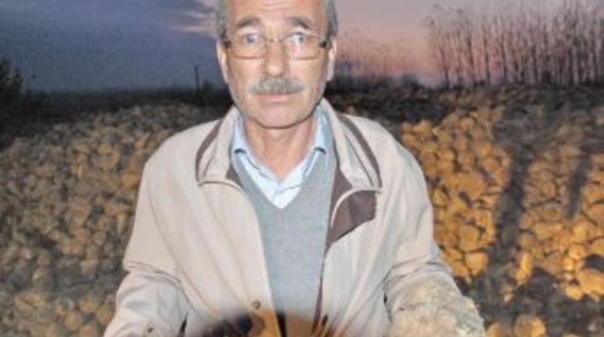 Pancar &Uuml;reticisi Kota Mağduru Oldu