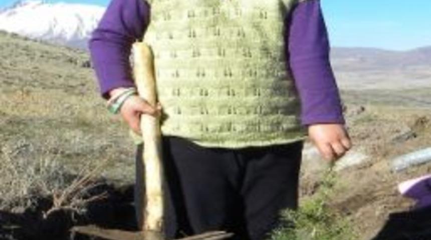 4 Yaşındaki Atiye&rsquo;nin De Dikili Ağacı Oldu