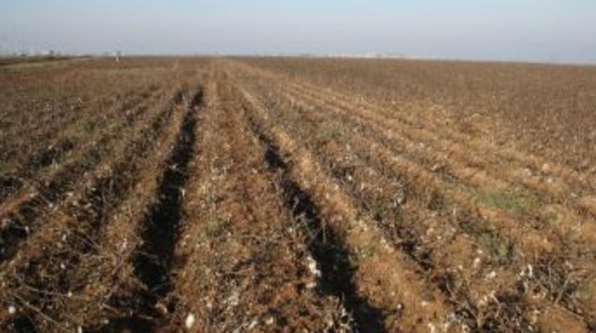 Fakir Ailelerin Yakacak Umudu