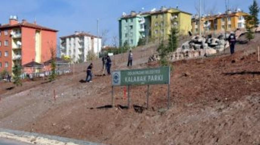 Kalabak Parkı Yenileniyor
