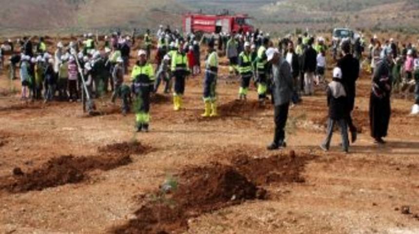 "bi D&uuml;nya Yeşil Alan" Sloganıyla Fidanlar Toprakla Buluştu