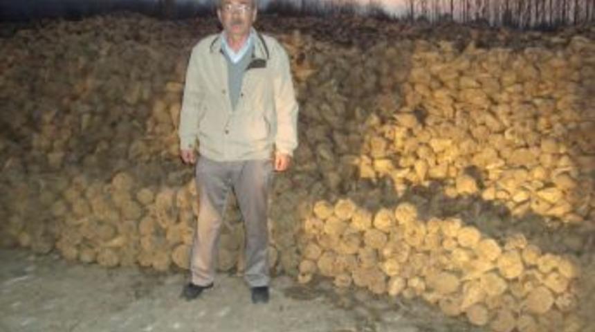 Simav'da Bu Yıl Şeker Pancarı Verimi D&uuml;ş&uuml;k