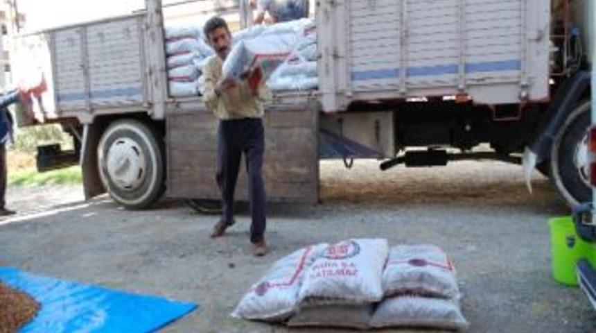 Gazipaşa'da K&ouml;m&uuml;r Yardımları Başladı