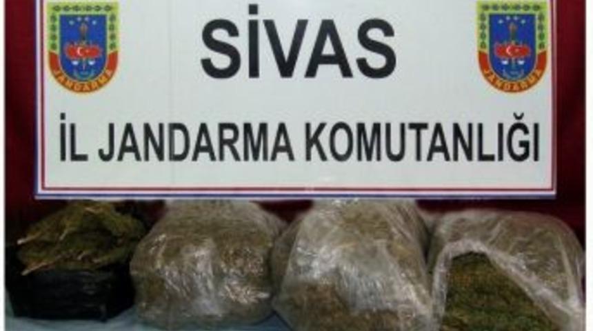 Sivas&rsquo;ta 16 Kilo Esrar Yakalandı