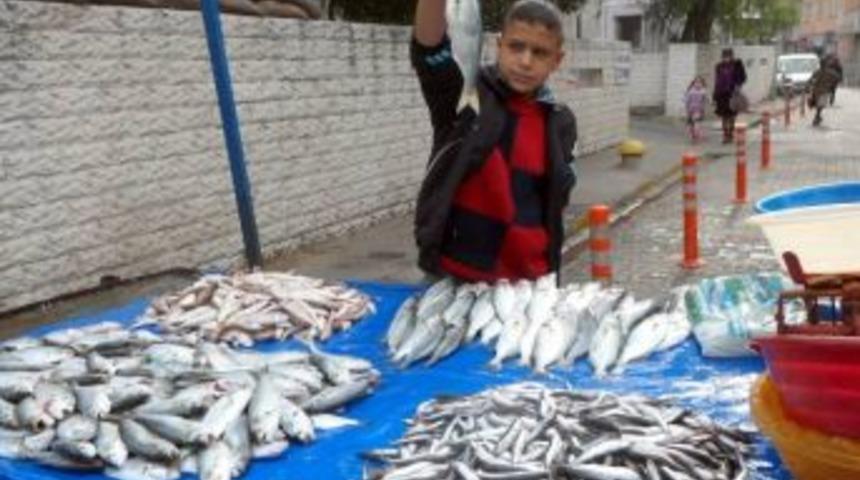 Edremit'te De Balık Tezgahları Şenlendi