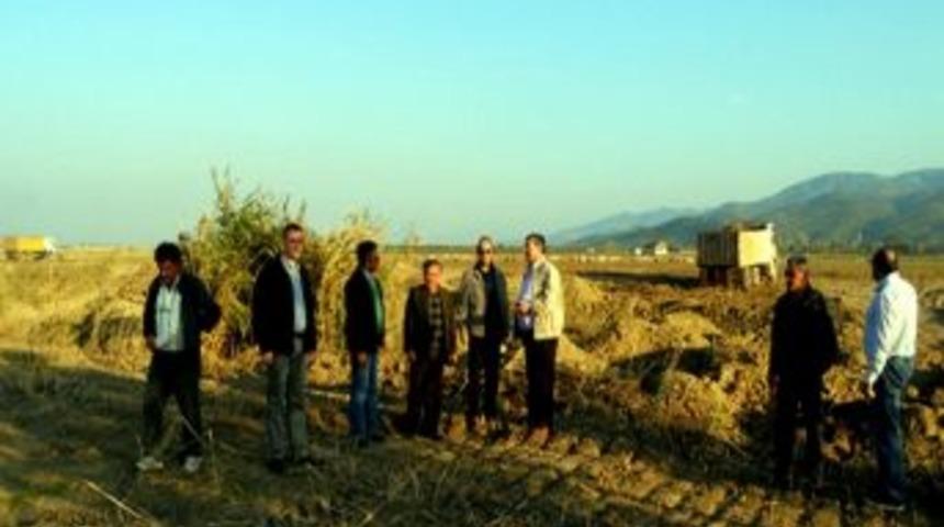 Daire Başkanı Deveci Ko&ccedil;arlı Toplulaştırmasını İnceledi