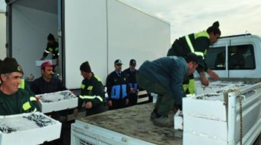 Tuzla Belediyesi’nden Semt Sakinlerine 40 Ton Hamsi