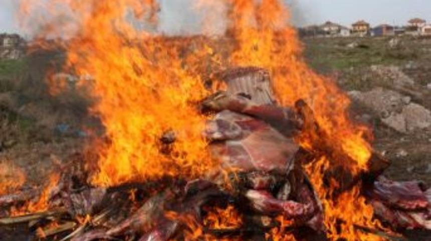 2,5 Ton Hastalıklı Et Yakılarak Imha Edildi