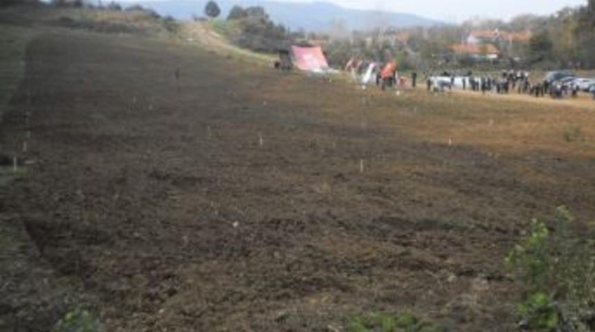 Cevizler Toprakla Buluştu