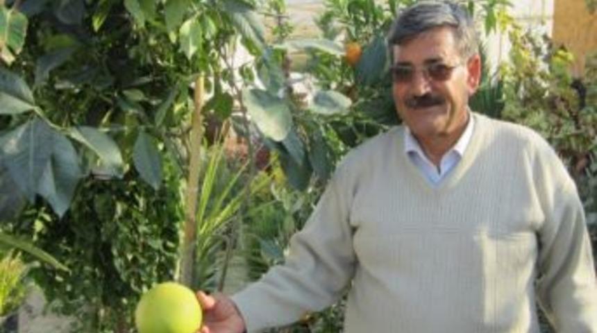 Ağa&ccedil; Kavunu Şifa Deposu