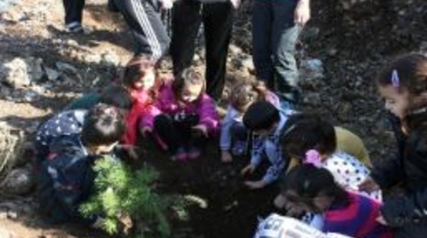 Minik &Ouml;ğrenciler &Uuml;&ccedil; Bin Fidan Dikti