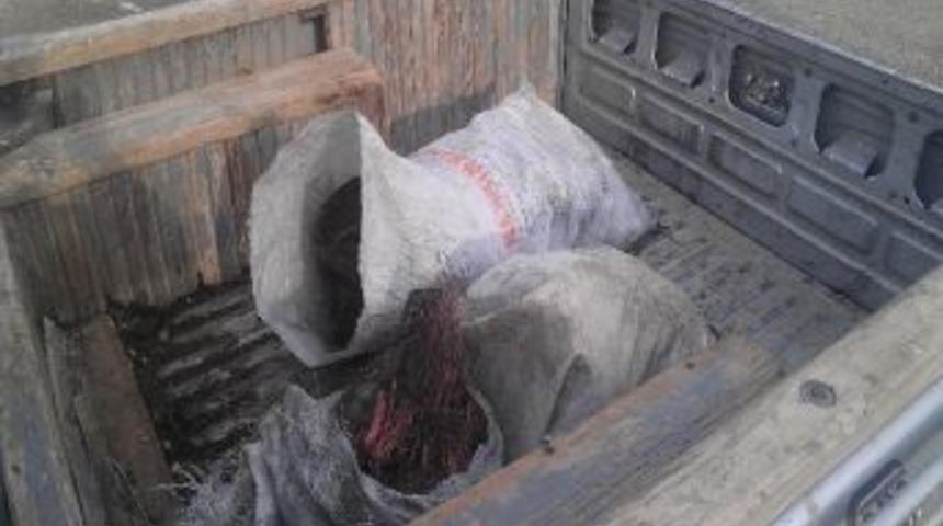 Bulanık&rsquo;ta Kablo Hırsızlığı