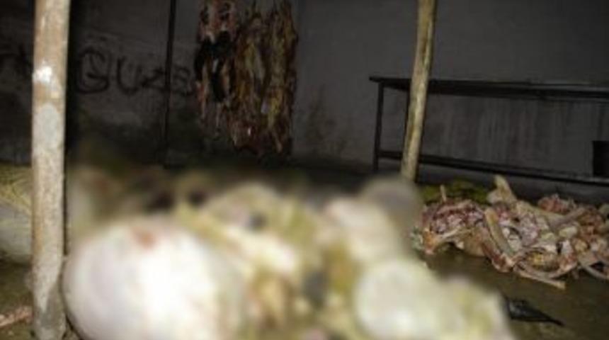 Ka&ccedil;ak Kesimhaneyi Jandarma Ortaya &Ccedil;ıkardı