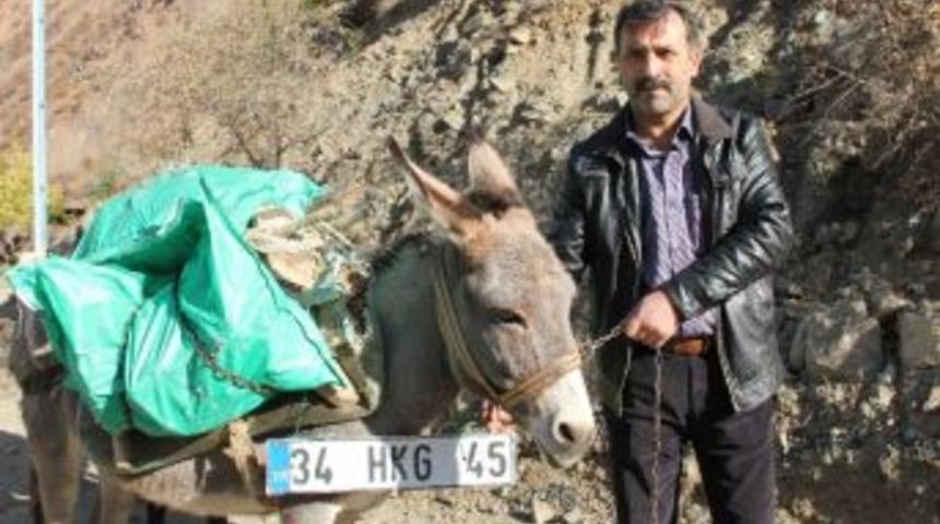 Kasko Mağduru Nakliyat&ccedil;ı Eşeklerle K&ouml;m&uuml;r Taşıyor