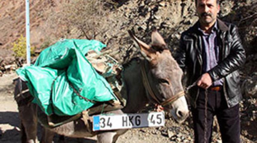 Eşeğe plaka taktı