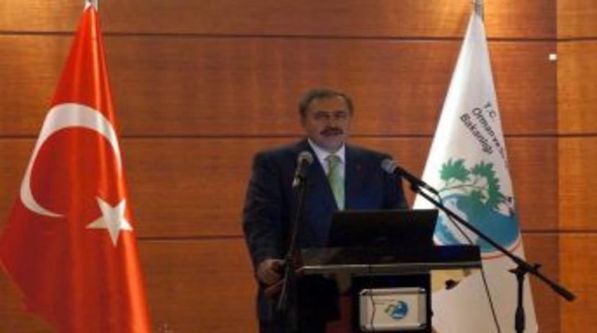 Bakan Eroğlu: 10 Yılda 85 Bin Hektar Orman Zarar G&ouml;rd&uuml;