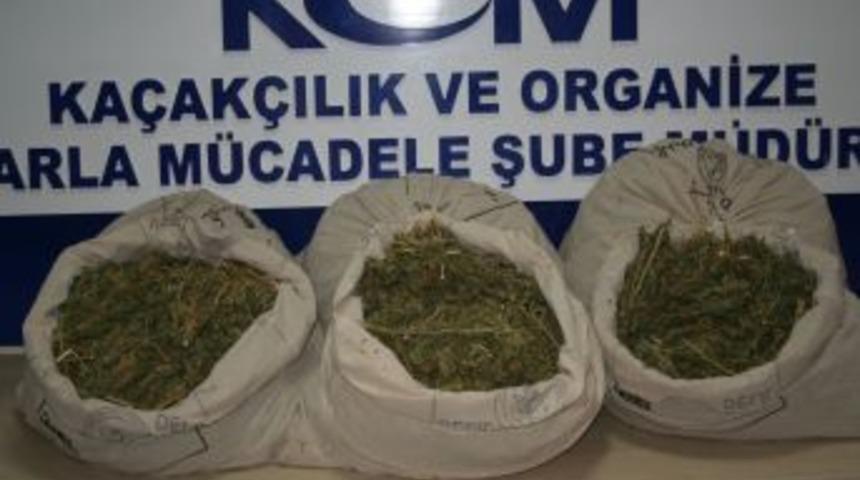 Ardışık Iki Operasyonda 133 Kg. Esrar Ele Ge&ccedil;irildi