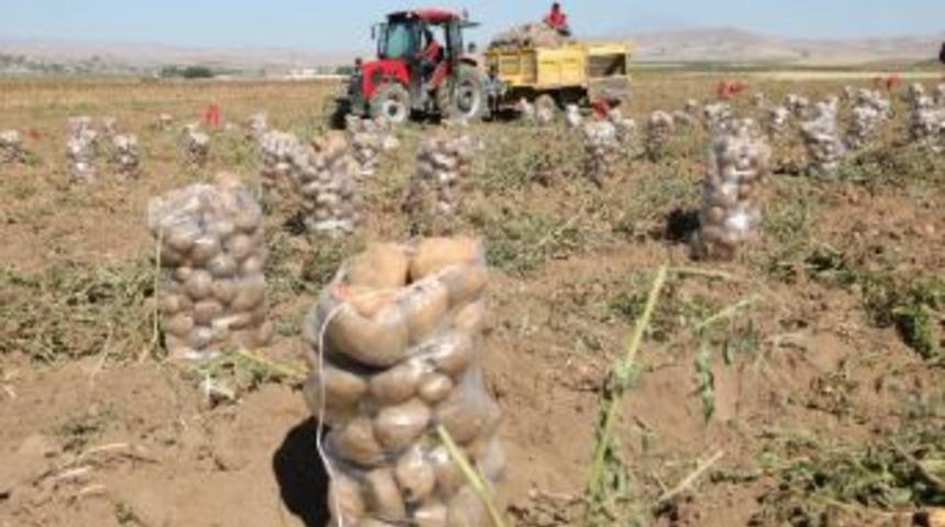 Fiyatı Ucuz Alıcısı Yok