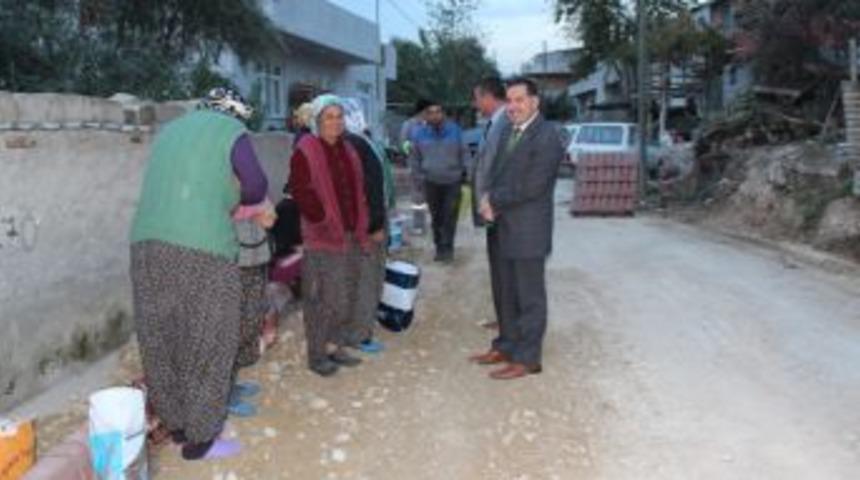 Zenbilci, Sarı&ccedil;amı geziyor