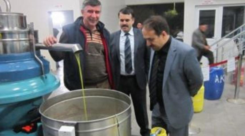 Tarım M&uuml;d&uuml;r&uuml;nden Zeytin Yağı Tesisinde İnceleme
