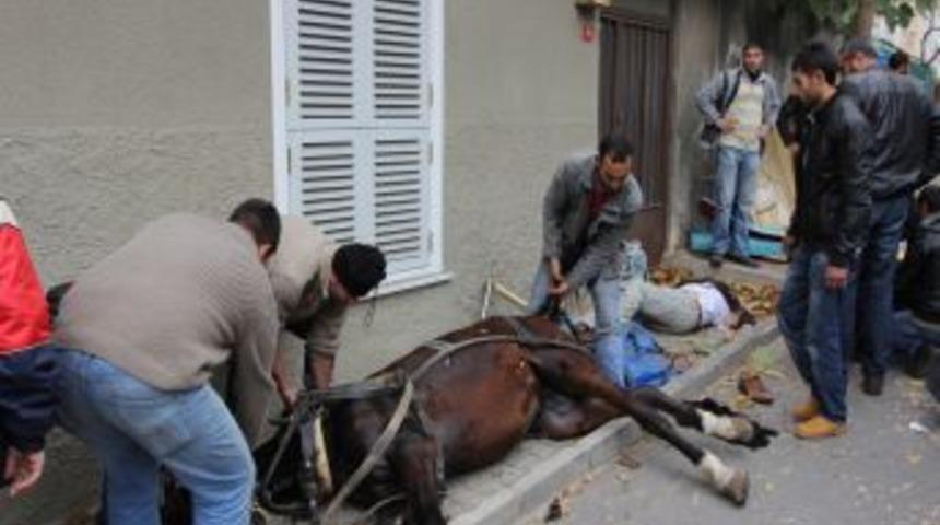 B&uuml;y&uuml;kada&rsquo;da Fayton Devrildi: 1 &Ouml;l&uuml;