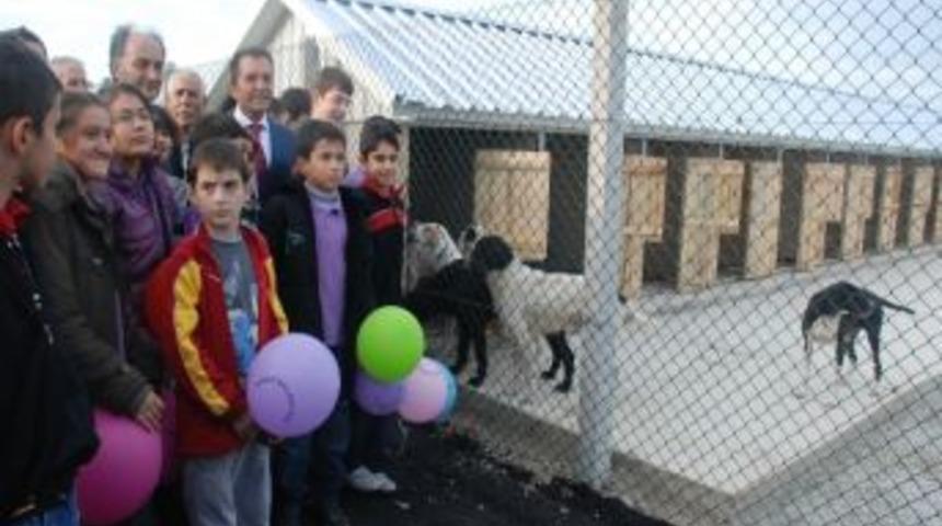 Sahipsiz Hayvan Barınağı T&ouml;renle A&ccedil;ıldı
