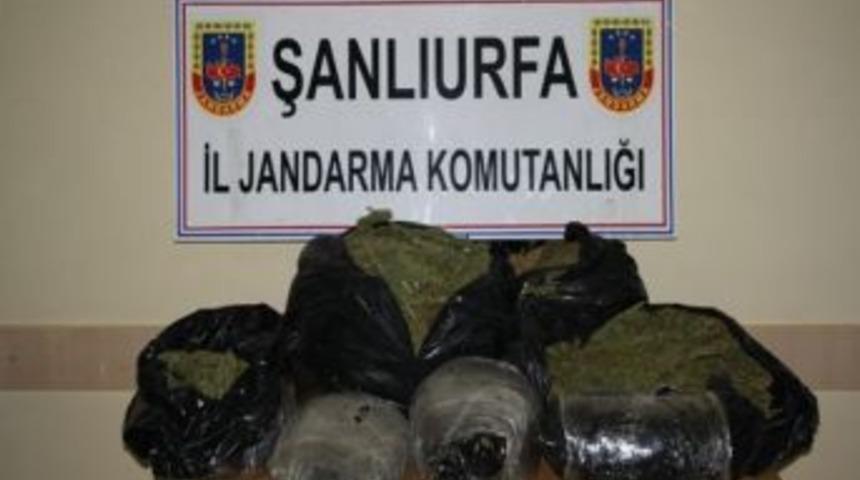 Siverek'te Esrar Operasyonu