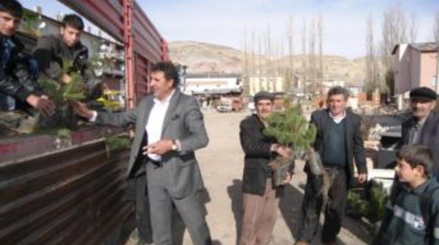 Narman&rsquo;da 'okullar Hayat Olsun' Projesi Kapsamında &Ccedil;am Fidesi Dağıtıldı