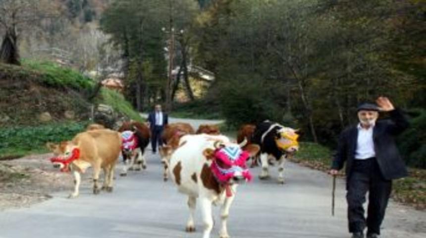 Tonya&rsquo;da Son Yayla G&ouml;&ccedil;&uuml; Alkışlarla Karşılandı