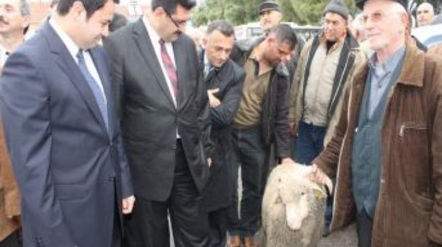 Manyaslı &Ccedil;ift&ccedil;ilere Ko&ccedil; Dağıtıldı