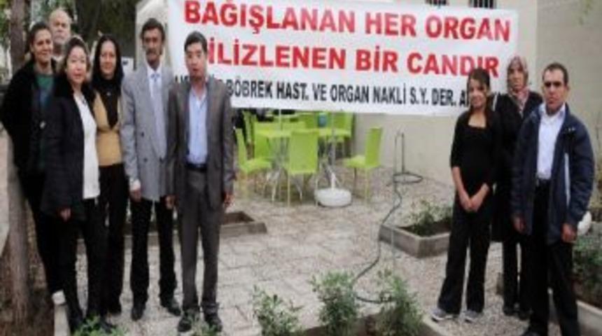 Organ Nakli Derneği Aşure Dağıttı