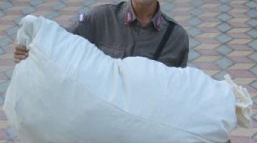 Manisa'da Esrar Operasyonu