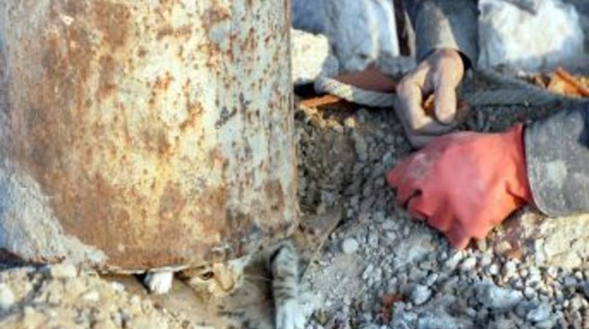 Elbistan'da Borunun I&ccedil;ine D&uuml;şen Yavru Kedi, 6 G&uuml;n A&ccedil; - Susuz Kaldı